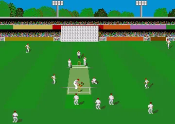 Cricket Amiga screen shot game playing